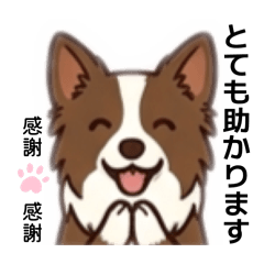 Chocokana_20260509101223