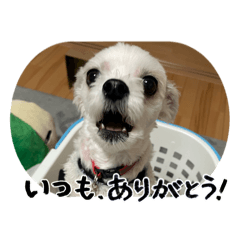 oussss_20260509100827