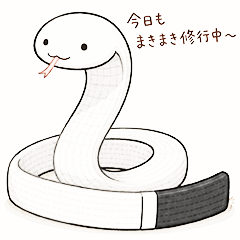 BJJ Obi-Hebi-kun(White Belt+)