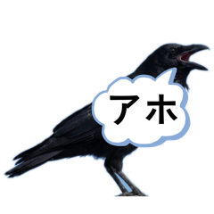 毎日使えるカラスのスタンプ【おもしろい】