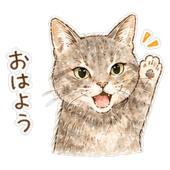 Former Rescue Cat Sakura Stickers_v2.1