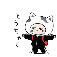 Jitome Cat Everyday