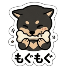 Daily Shiba-Dog Sena