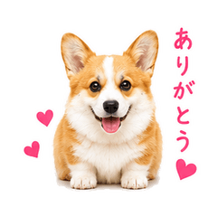 Cute Corgi & Little Butt Stickers