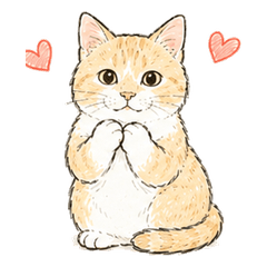San-chans Hand-Drawn Cat Stickers