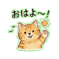 hanamaruo - Daily Chat Stickers