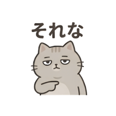 Awkward Cute Reply Cat Stickers