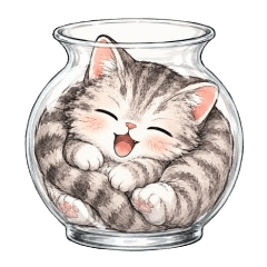 American Shorthair Daily Cat