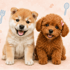 Can be used in the daily life of dogs