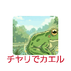 makimaki_202605