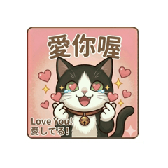 賓士貓優米的日常用語1