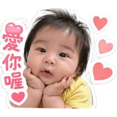 射手小蛋崽