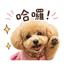 萌Q與小主的日常對話