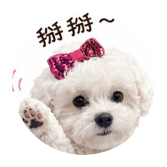 好動狗