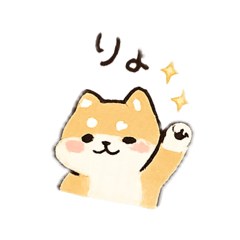 shibainu_20260509102835