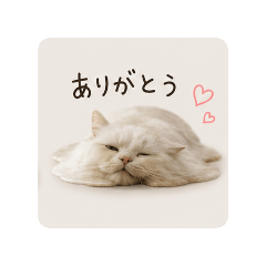 toke.neko