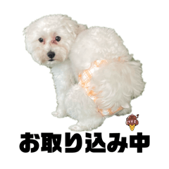 momopuff_20260509103254