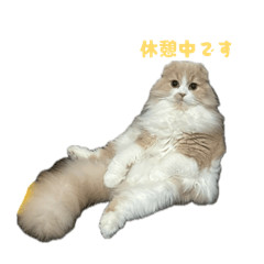 omoazuoha
