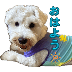 Ruku's stamp!!!!!!