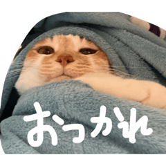 Yuka_20260509102828