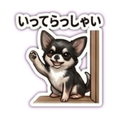 minatiwa_20260509103822