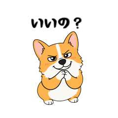 The Shameless & Greedy Corgi