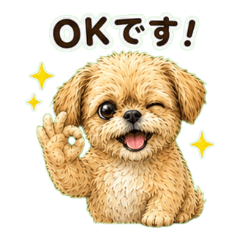 Moco Puppy Daily Talk