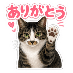 Vivi's Daily Stickers