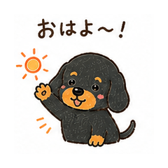 Black Dachshund Stickers