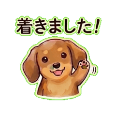 Miniature Dachshund 3 Oshikatu Stickers