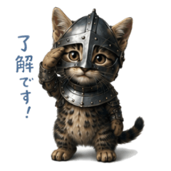 Everyday Knight Cat Stickers