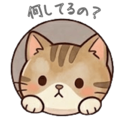 A Brown Tabby's Musings 8