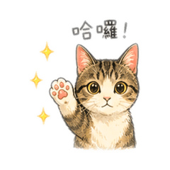嘟貓