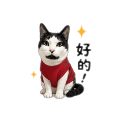 鬍鬚髒打招呼