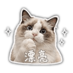 媛媛不講理
