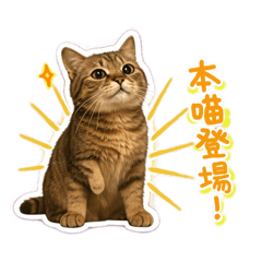 道行高的咪咪2