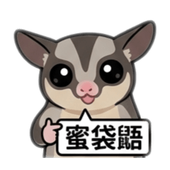 蜜袋鼯寶寶-（無文字版2）