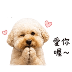 UNI的日常生活❤️