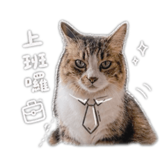 COCO上班啦