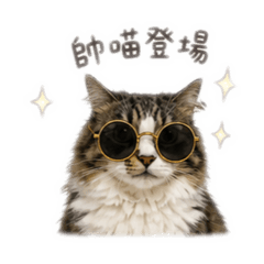 帥喵COCO登場