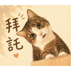 喵刻時光