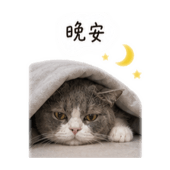 可愛77的日常