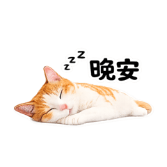 本喵不想說話