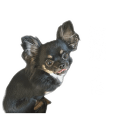 sss_20260509105448