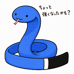 BJJ Obi-Hebi-kun(Blue Belt+)