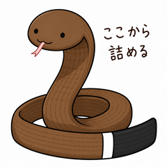 BJJ Obi-Hebi-kun(Brown Belt+)