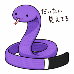 BJJ Obi-Hebi-kun(Purple Belt+)
