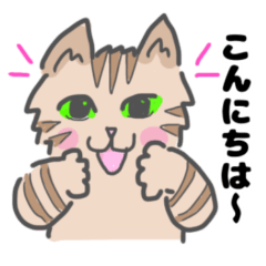 Slightly Emotional Cat