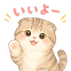 Chill Scottish Fold Stickers