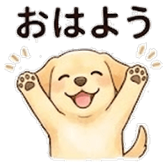 Gentle Labrador - 24 Daily Greetings